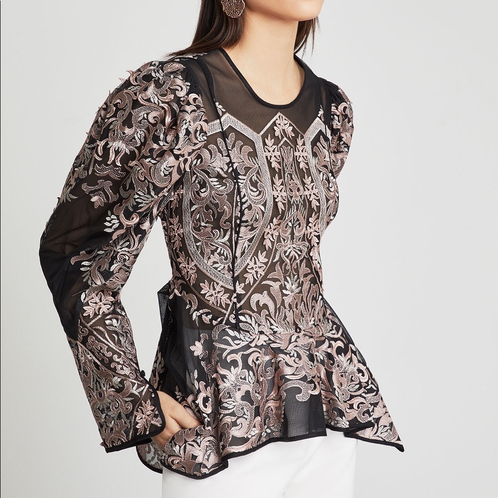 Romantic Detail Embroidered Sheer Top